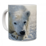 Mok Polar Bear Cub