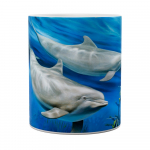 Mok Dolphins