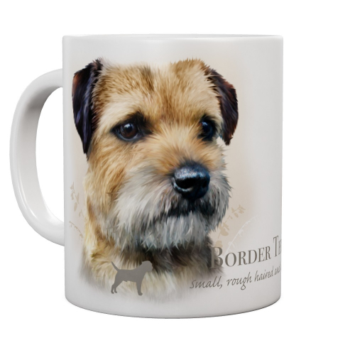 Mok Border Terrier