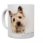 Mok Cairn Terrier