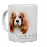 Mok King Charles Spaniel