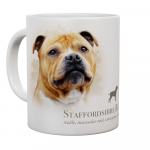 Mok Stafford Bull Terrier