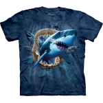 Shark Attack Kindershirt