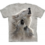 Singing Lessons Wolf Kindershirt