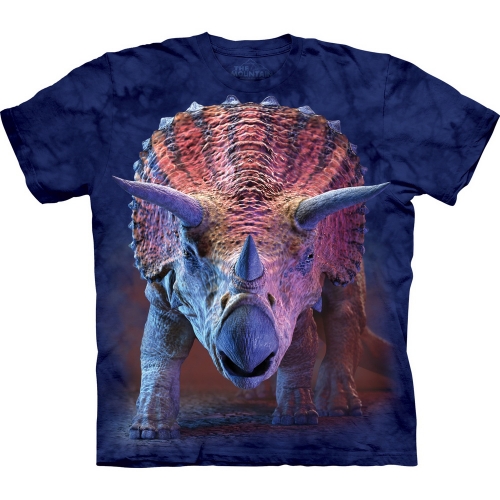 Charging Triceratops Kindershirt