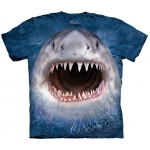 Wicked Nasty Shark Kindershirt
