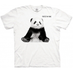 Panda Cub Protect My Home Kindershirt