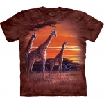 Sundown Giraffeshirt Kind