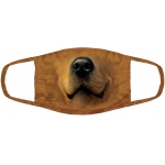 Golden Face Dog Mondmasker