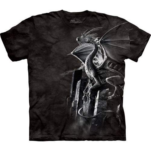 Silver Dragon Draak Shirt