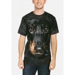 Dachshund Face Honden Shirt