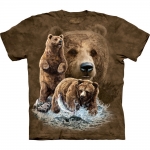 Find 10 Brown Bears Berenshirt