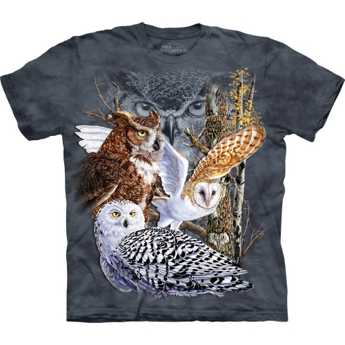 Find 11 Owls Shirt