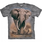 African Elephant Olifantshirt